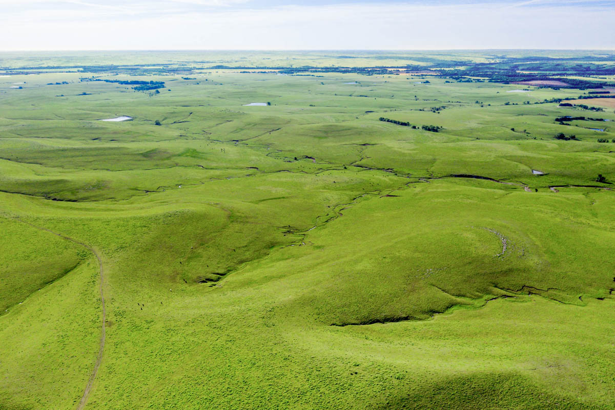 Crocker Springs Ranch property picture 22 of 39