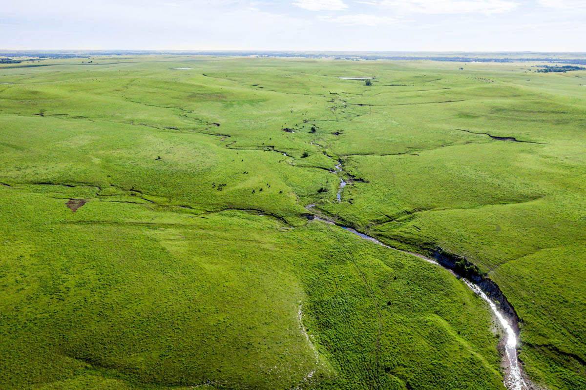 Crocker Springs Ranch property picture 4 of 39
