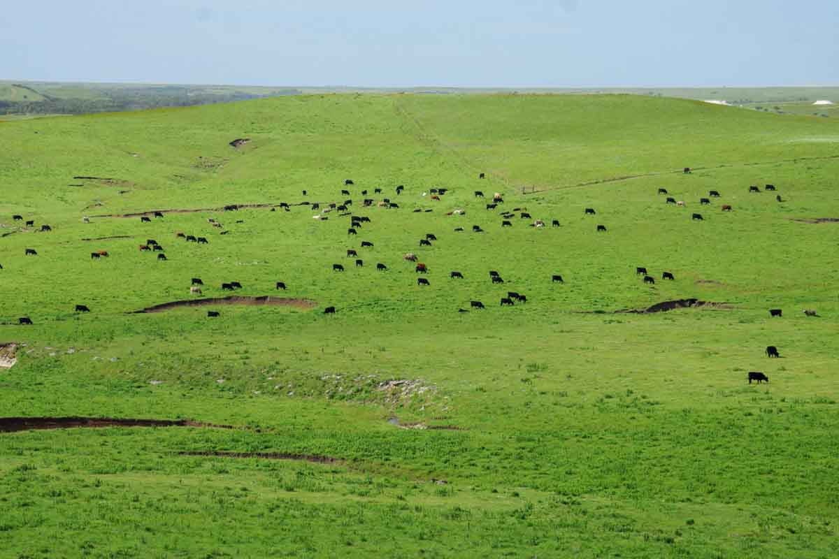 Crocker Springs Ranch property picture 36 of 39