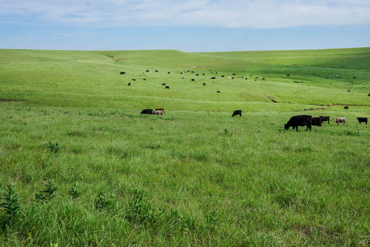 Crocker Springs Ranch property picture 37 of 39