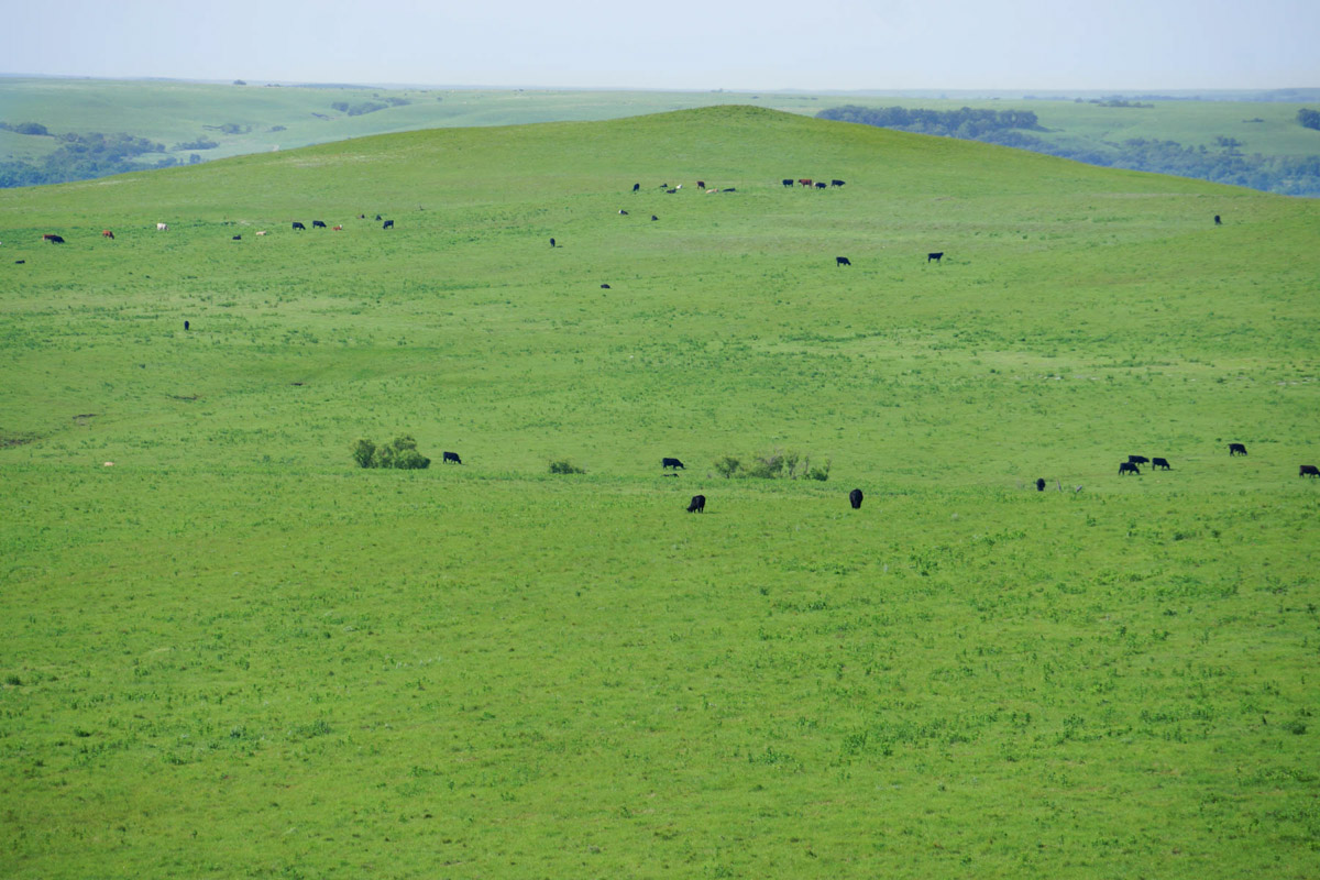 Crocker Springs Ranch property picture 34 of 39