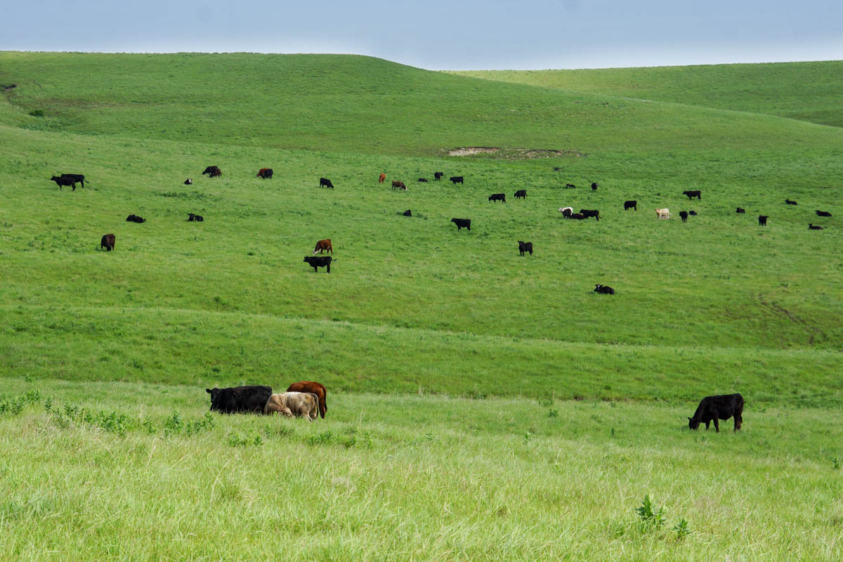 Crocker Springs Ranch property picture 31 of 39