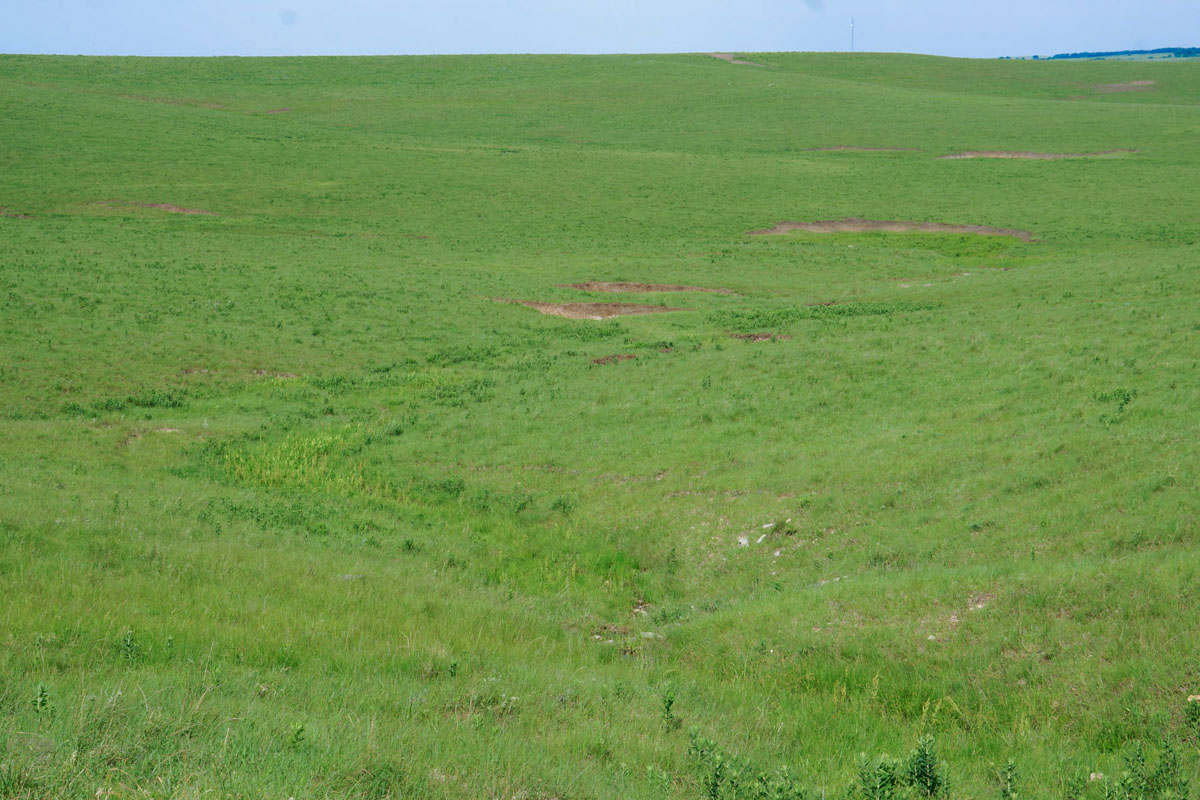 Crocker Springs Ranch property picture 35 of 39