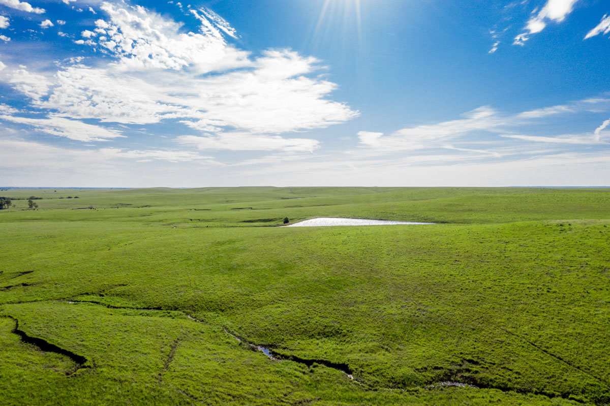Crocker Springs Ranch property picture 6 of 39