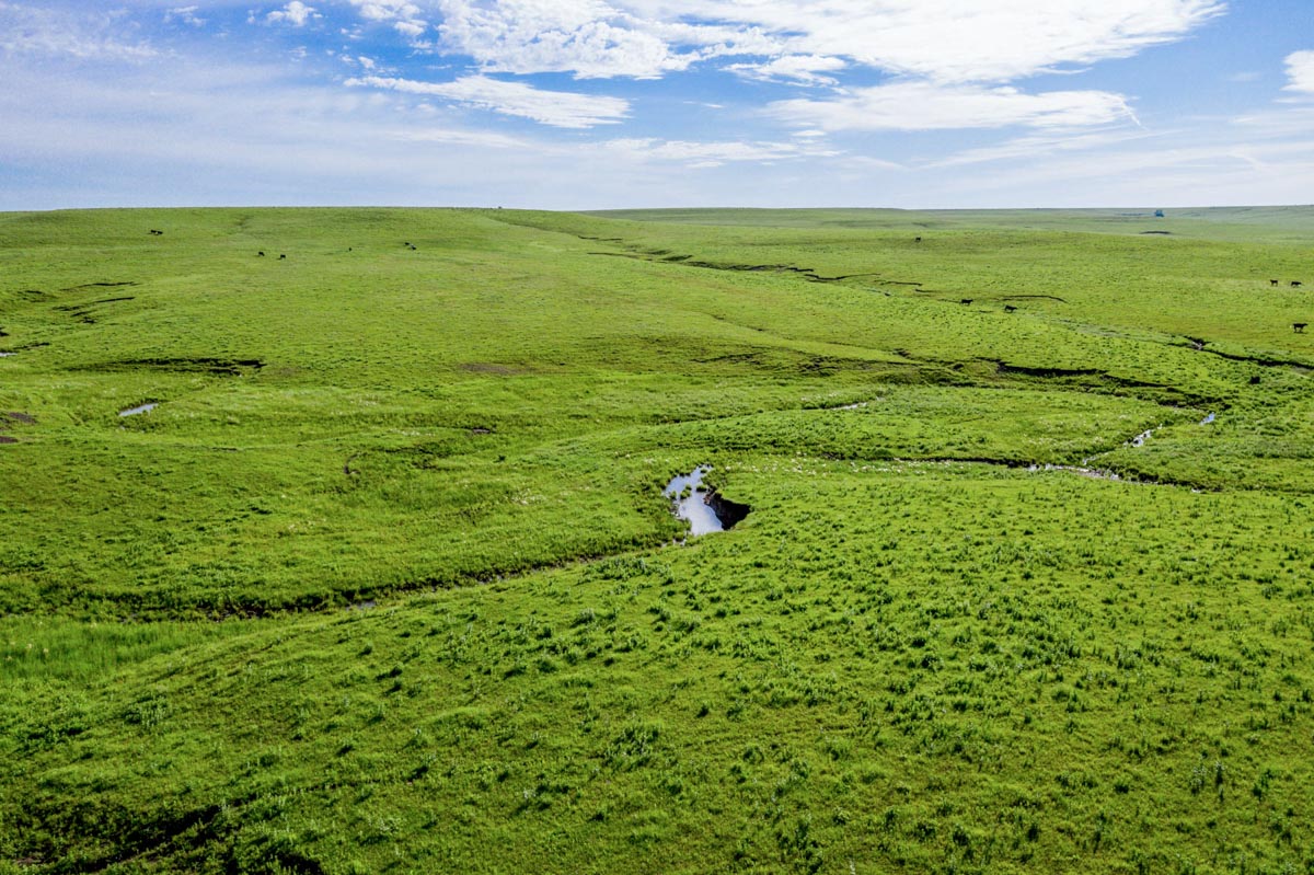 Crocker Springs Ranch property picture 20 of 39