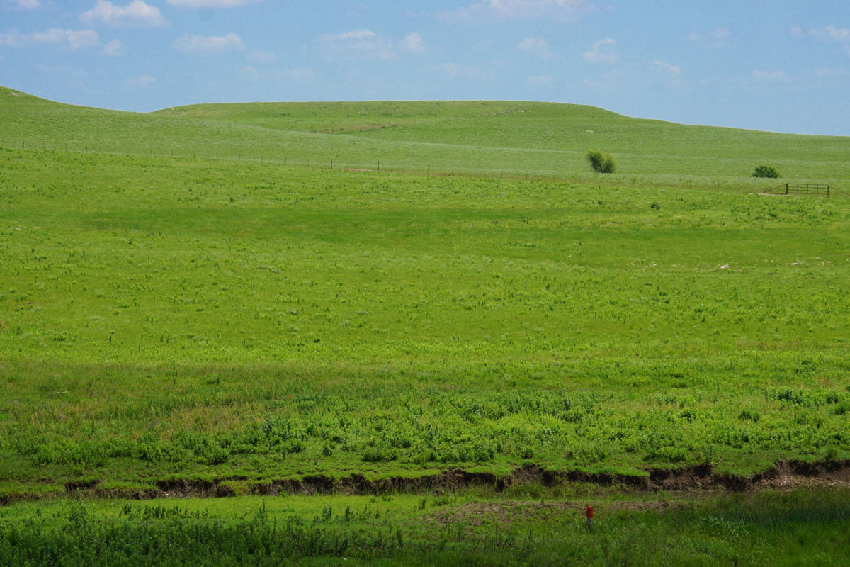 Crocker Springs Ranch property picture 14 of 39
