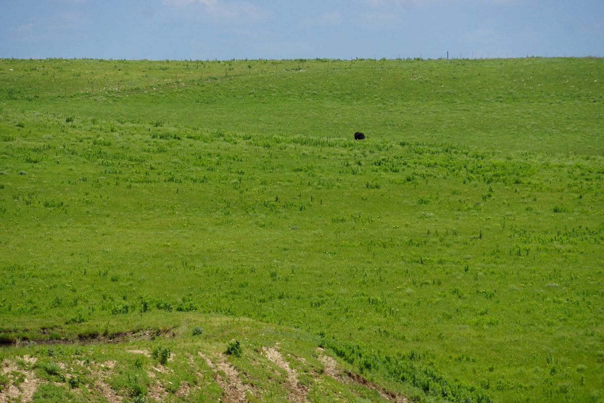 Crocker Springs Ranch property picture 9 of 39