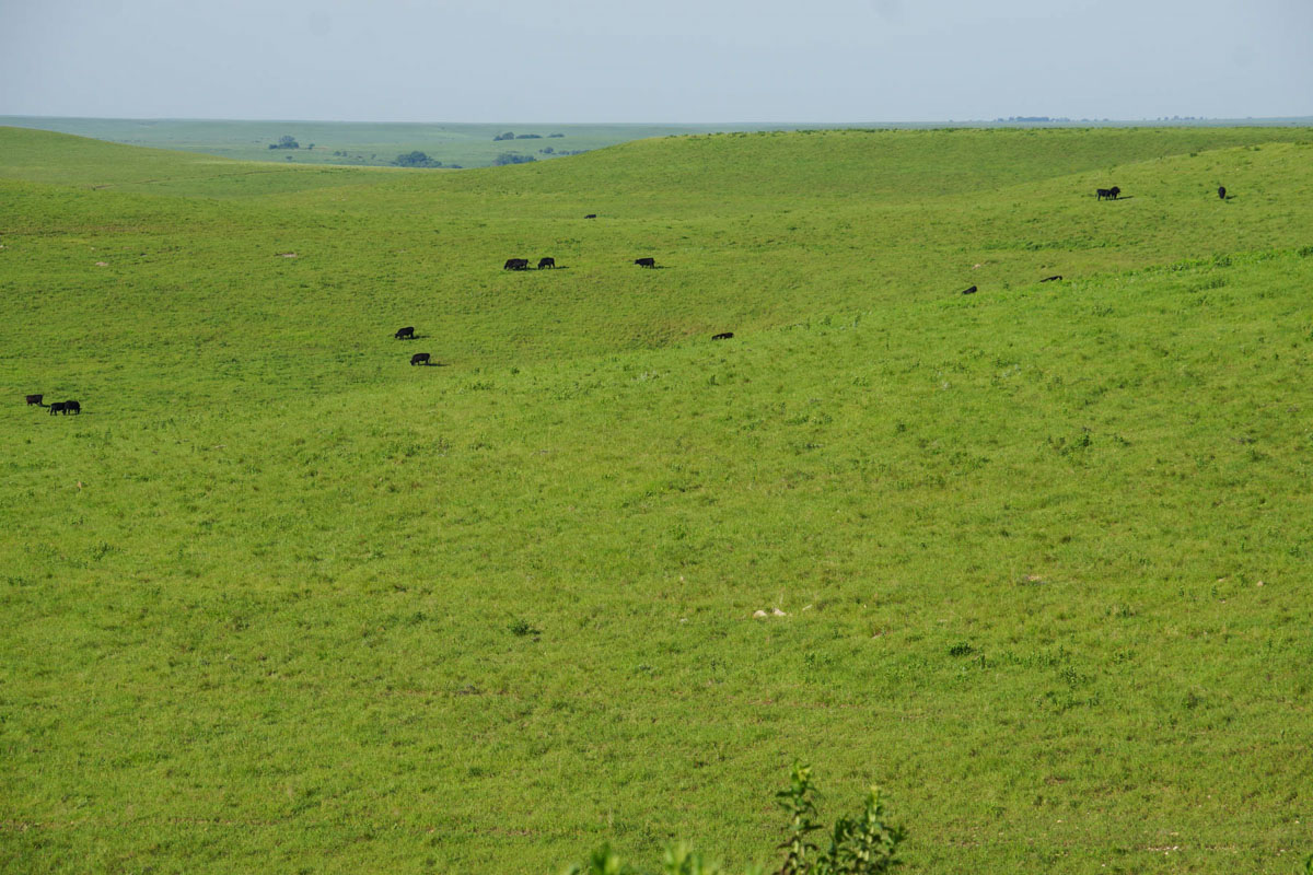 Crocker Springs Ranch property picture 19 of 39