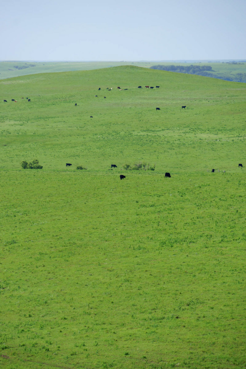 Crocker Springs Ranch property picture 39 of 39