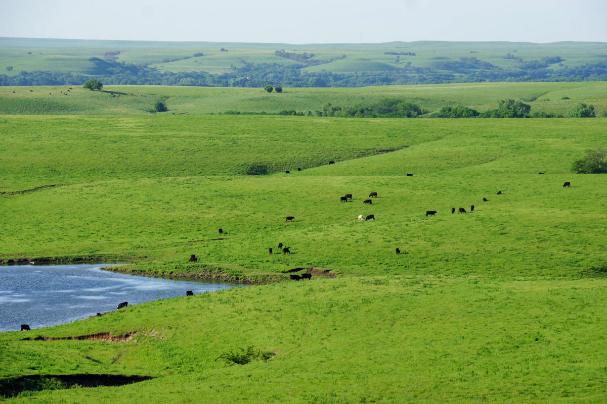 Crocker Springs Ranch property picture 5 of 39