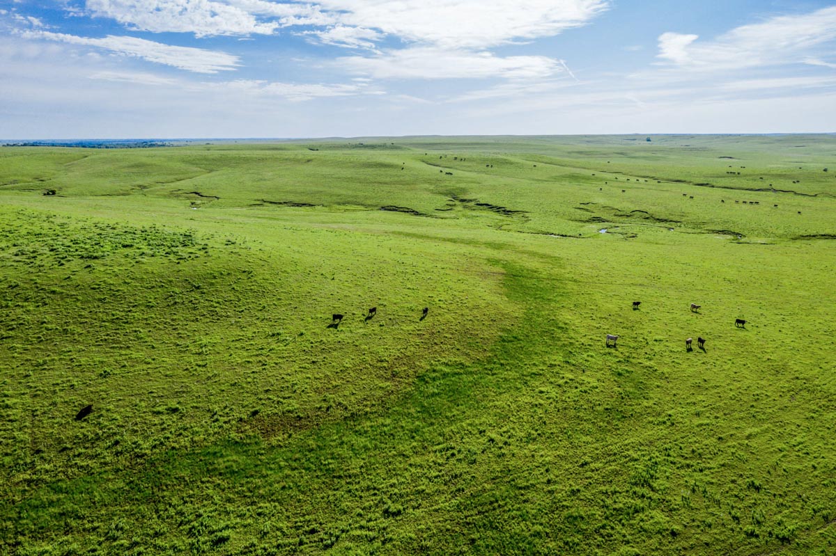 Crocker Springs Ranch property picture 21 of 39