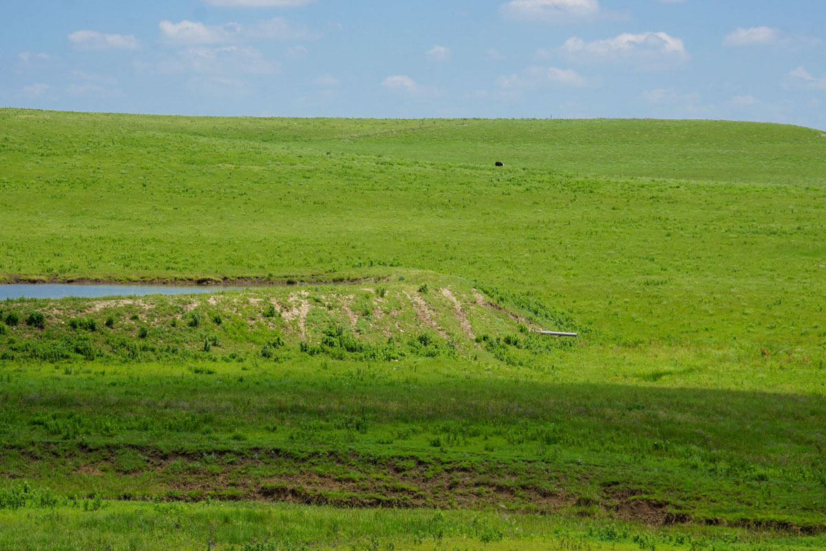 Crocker Springs Ranch property picture 10 of 39