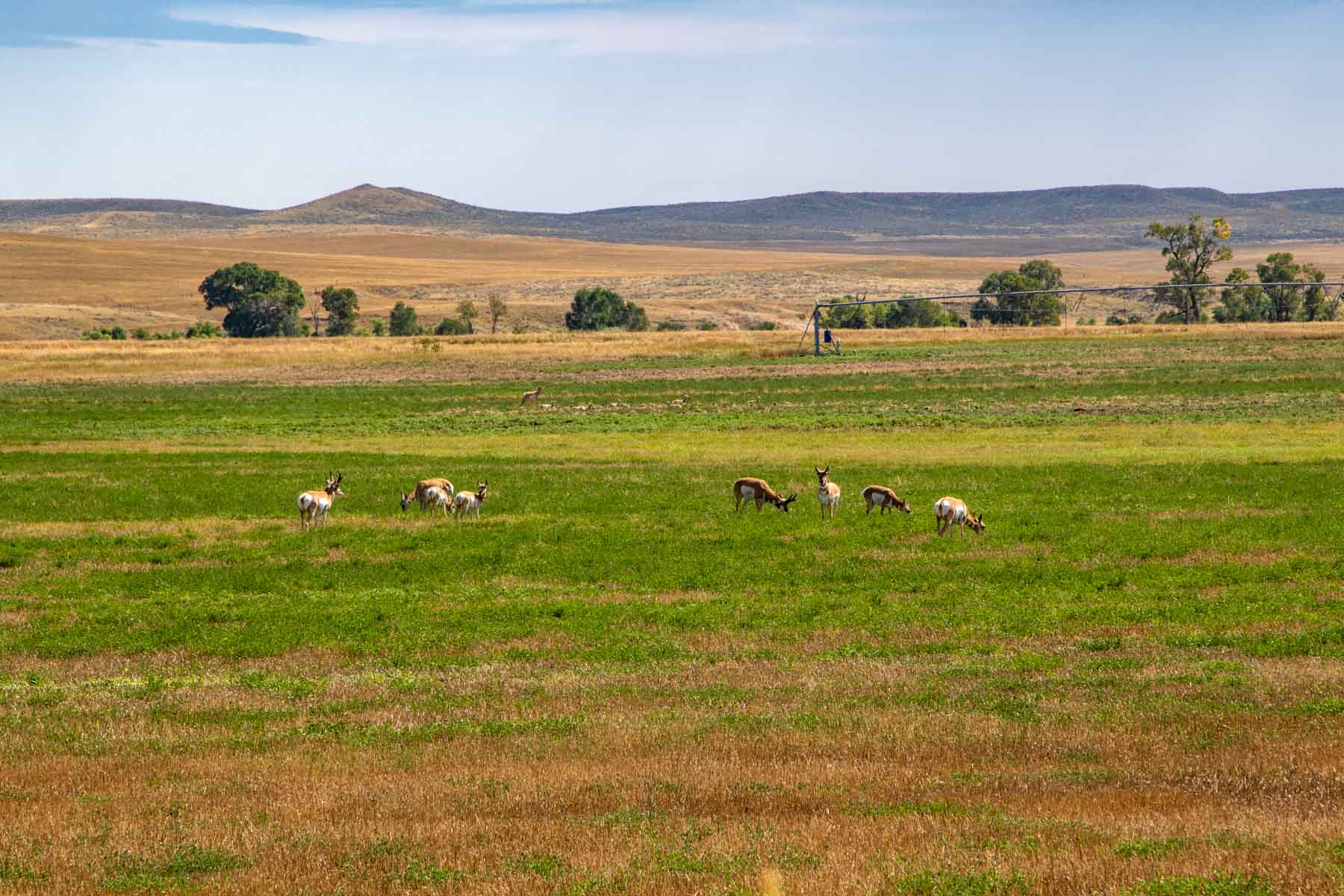 Bixby Ranch property picture 18 of 45