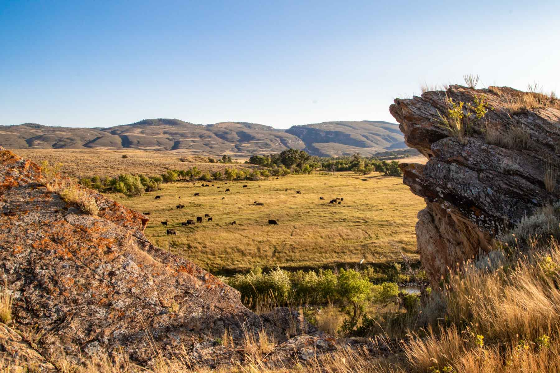 Bixby Ranch property picture 2 of 45