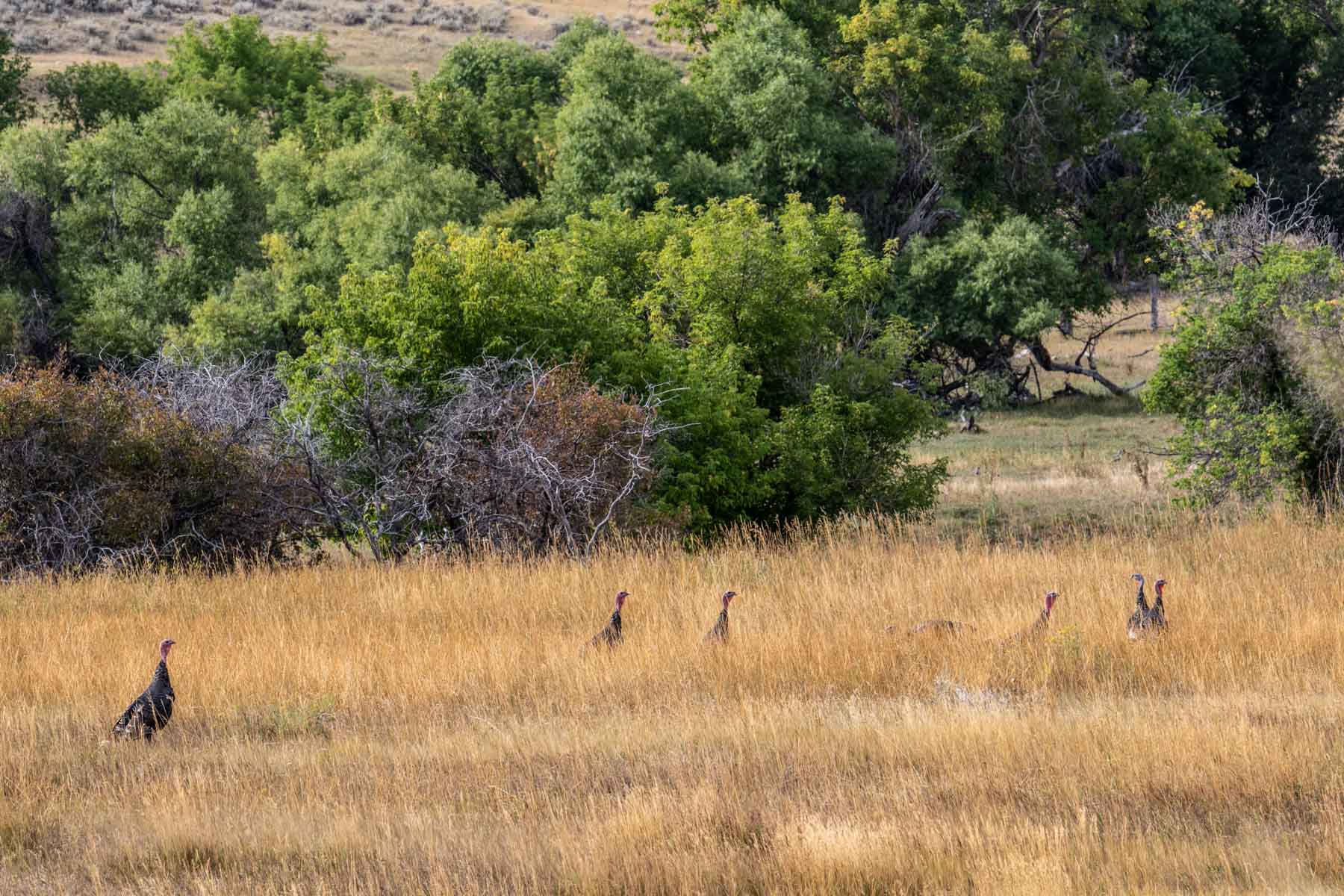 Bixby Ranch property picture 16 of 45