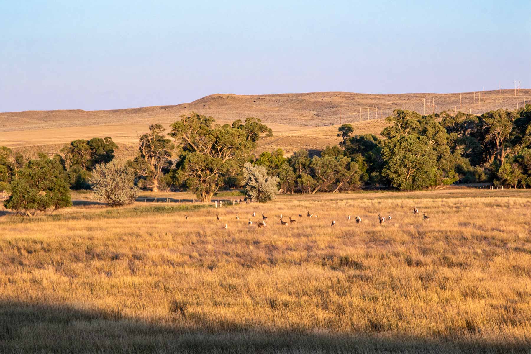 Bixby Ranch property picture 44 of 45