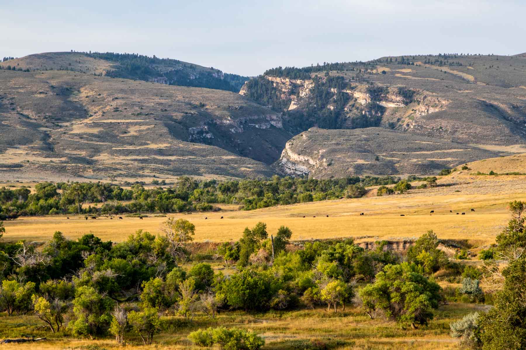 Bixby Ranch property picture 37 of 45