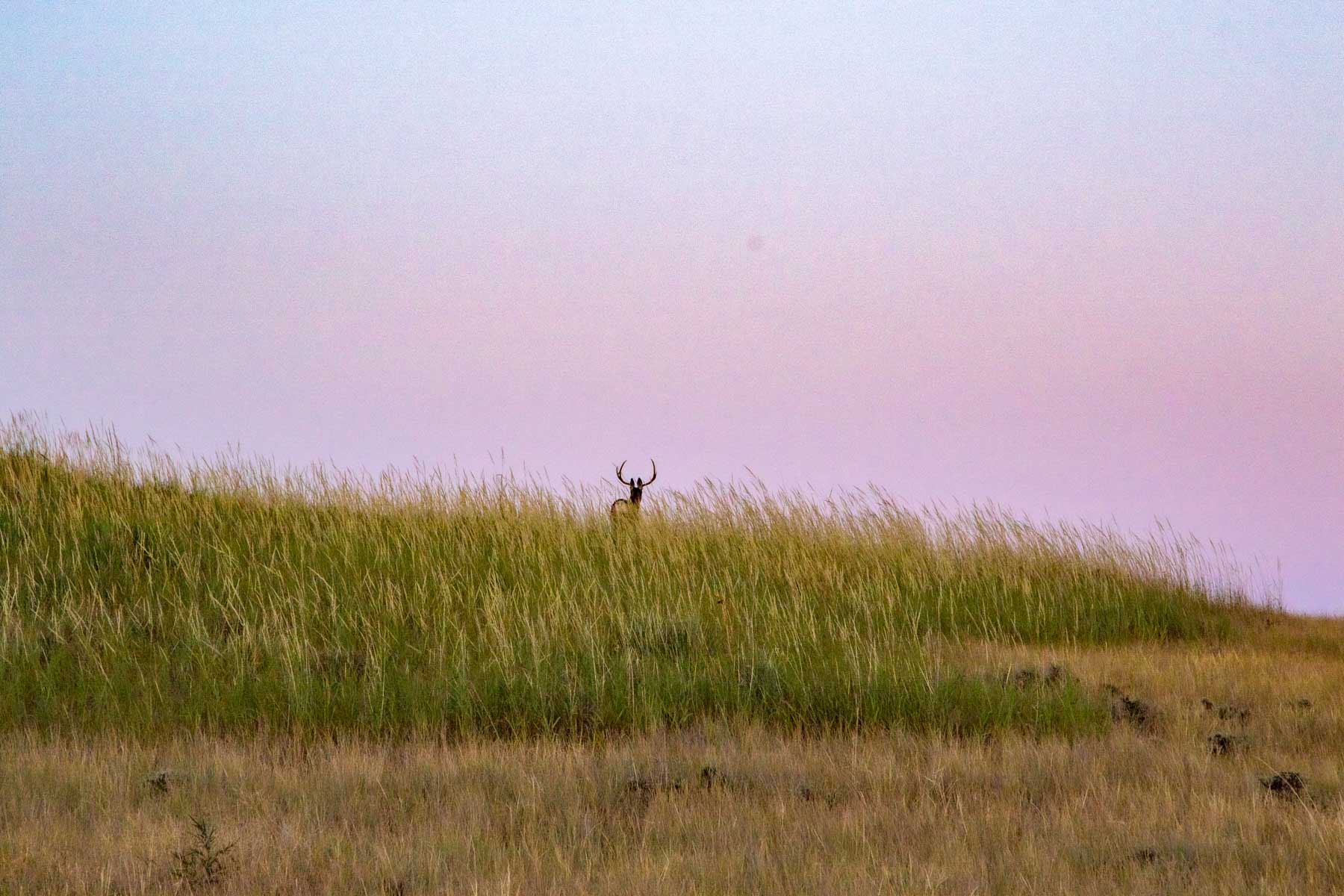 Bixby Ranch property picture 15 of 45