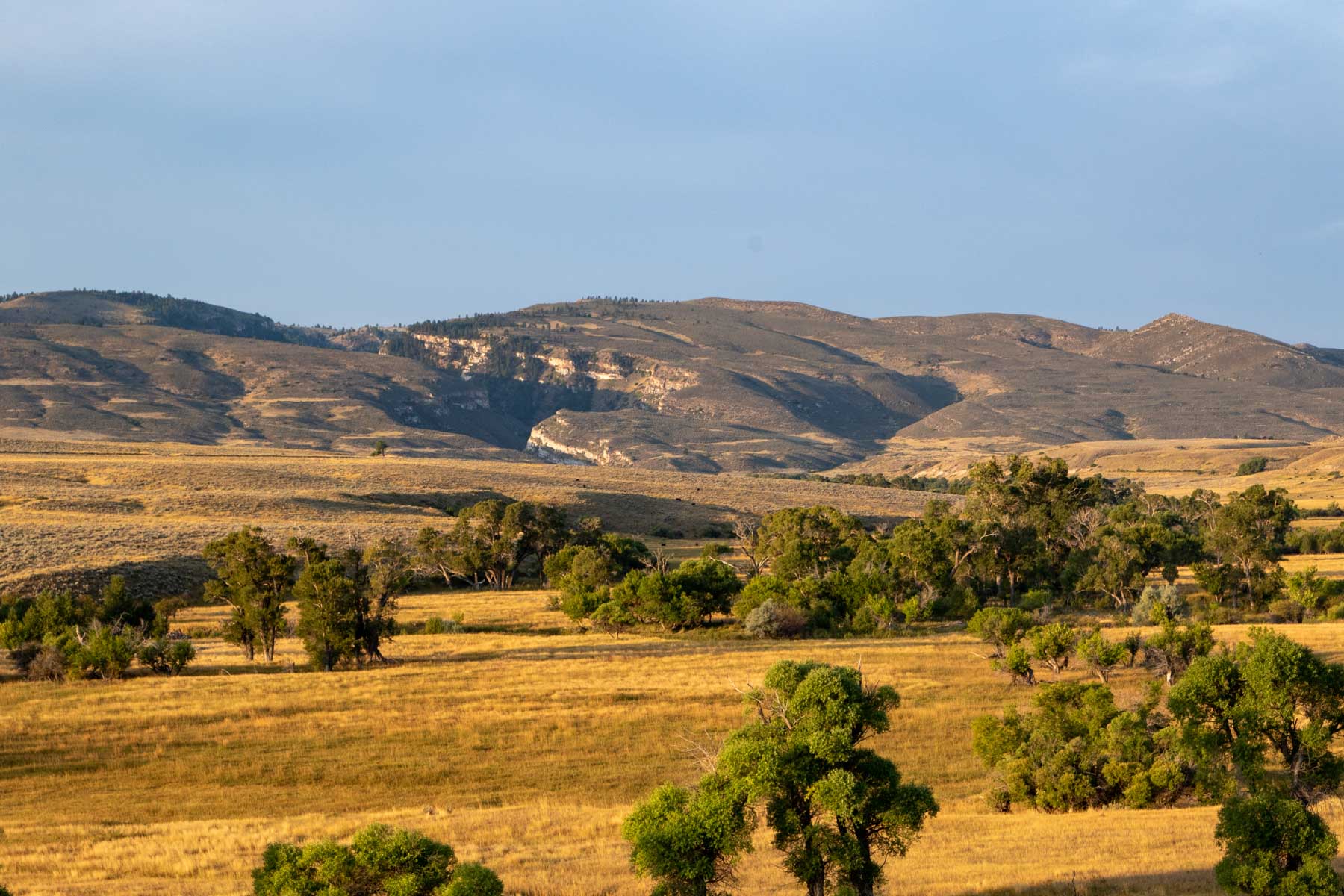 Bixby Ranch property picture 45 of 45