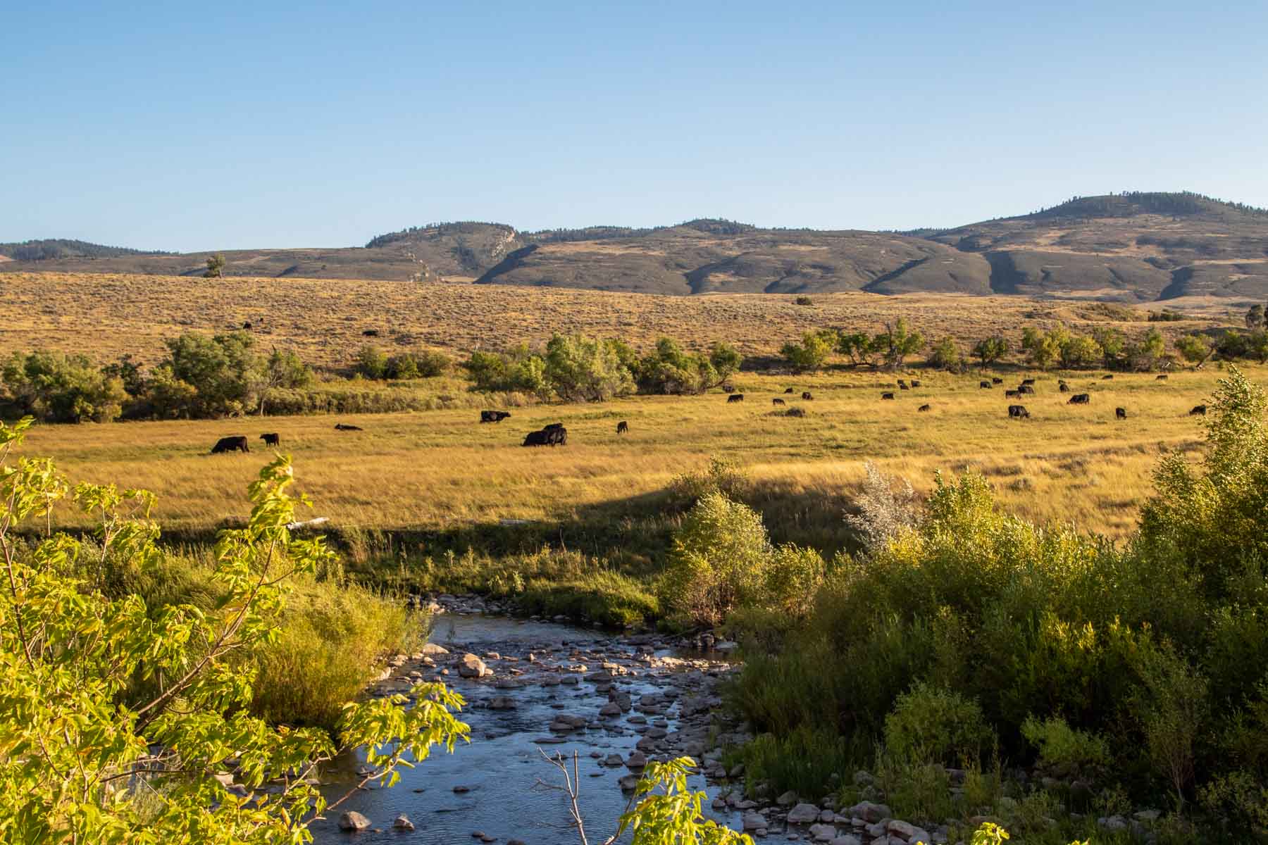 Bixby Ranch property picture 41 of 45