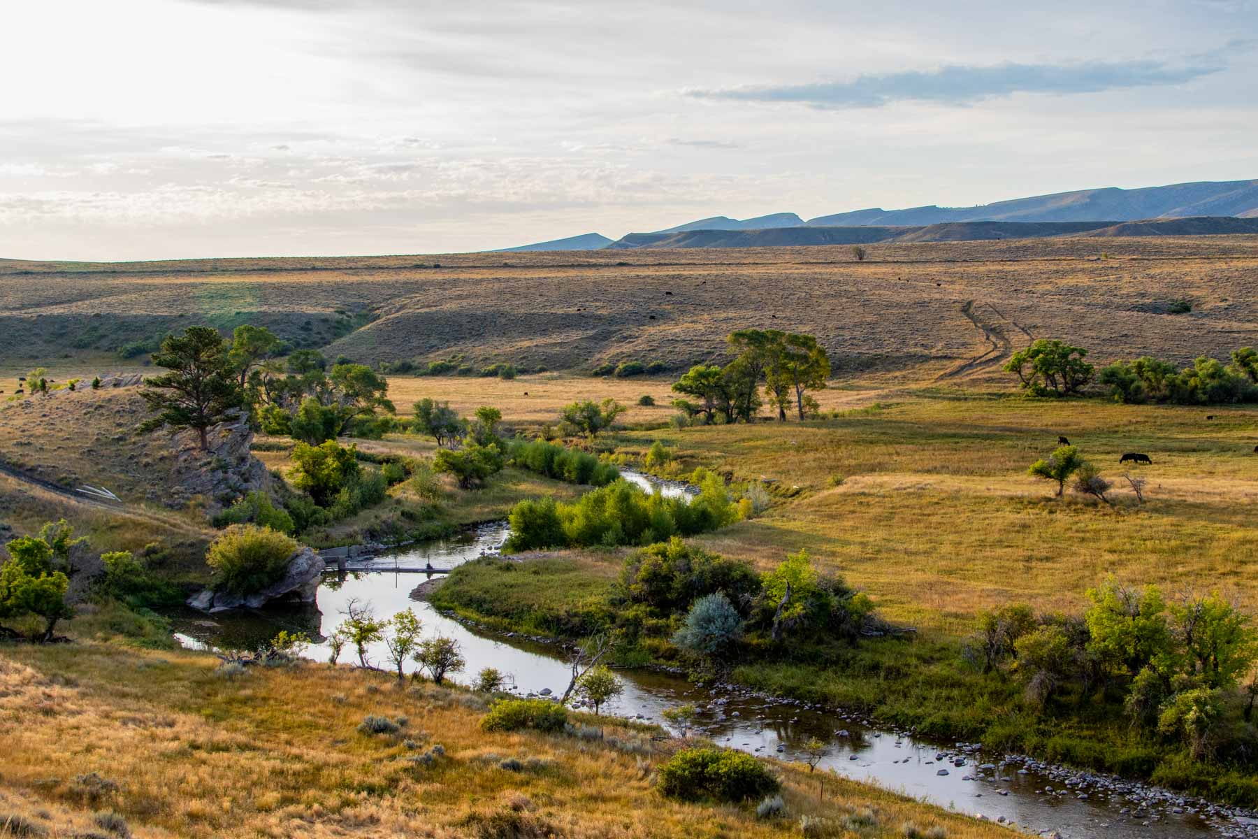 Bixby Ranch property picture 4 of 45
