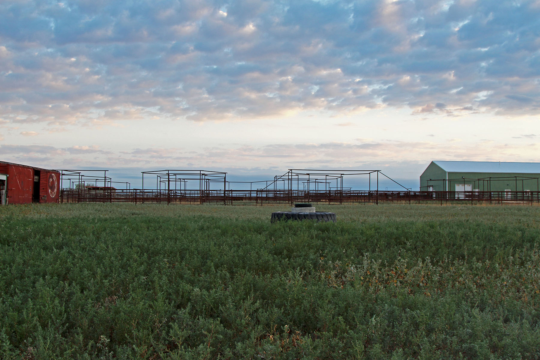 Rapelje Bison Ranch Sold Montana Hall and Hall