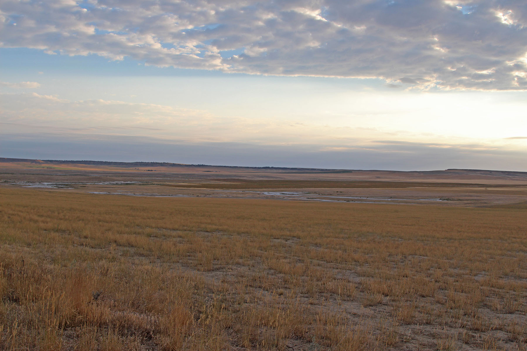 Rapelje Bison Ranch property picture 24 of 24