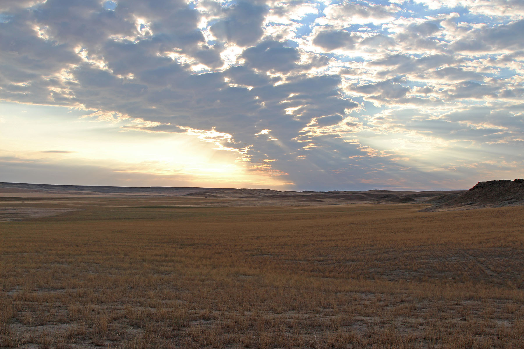 Rapelje Bison Ranch property picture 22 of 24