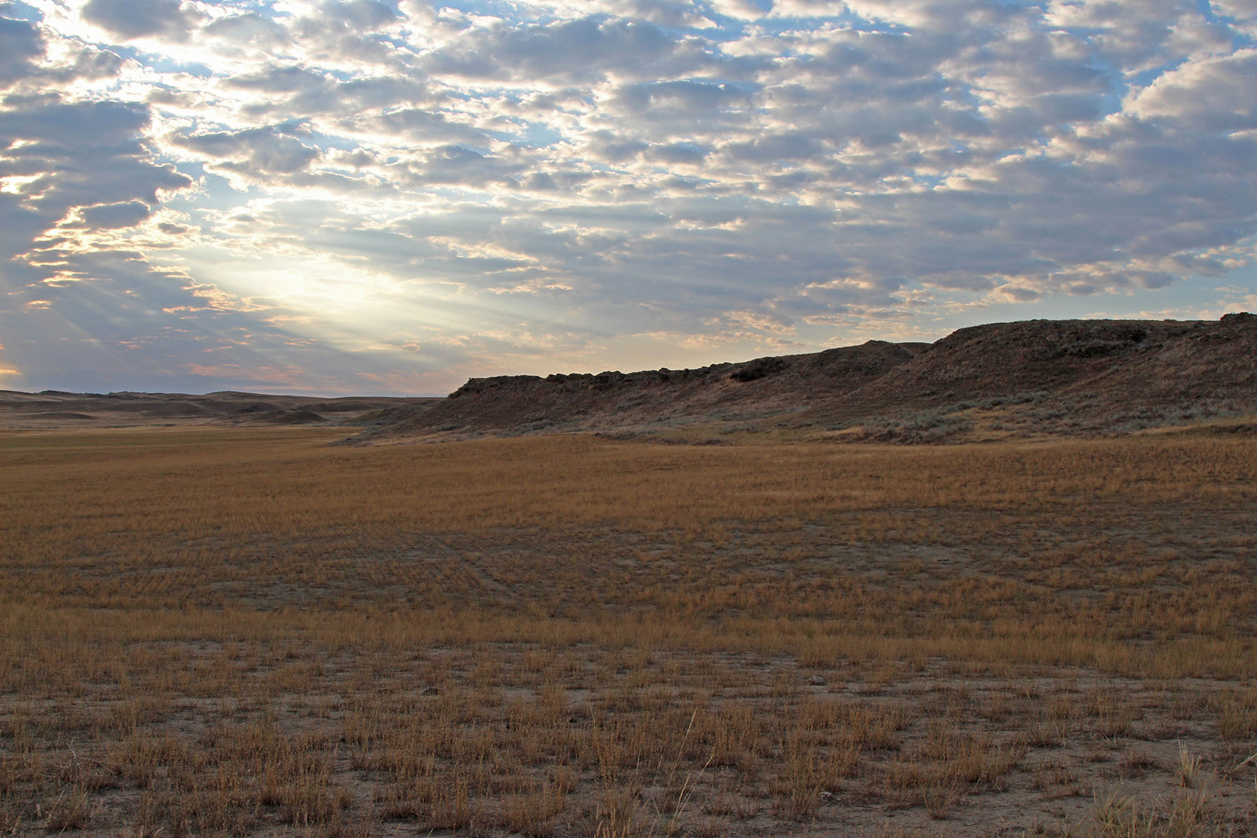 Rapelje Bison Ranch property picture 23 of 24
