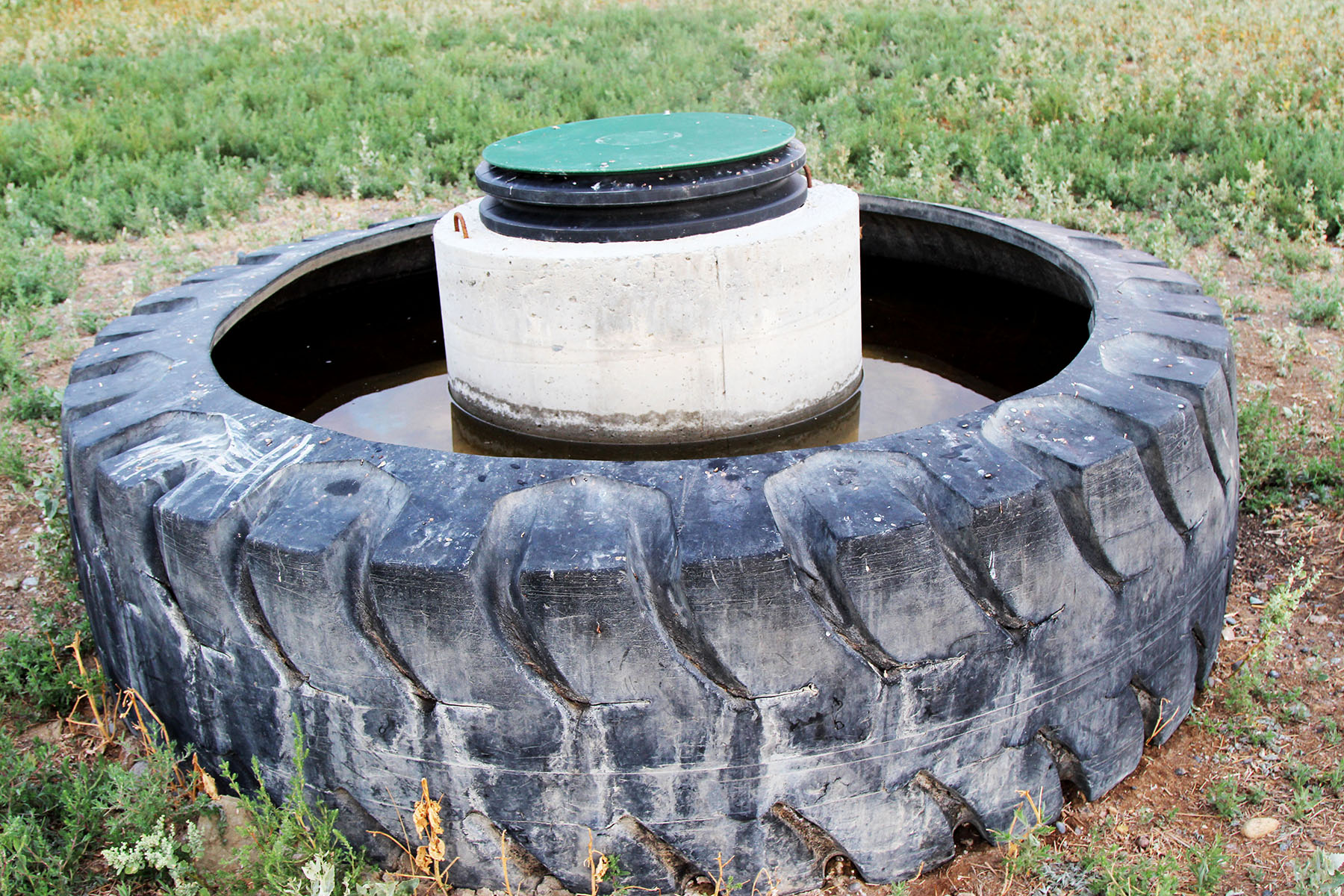 Rapelje Bison Ranch property picture 9 of 24