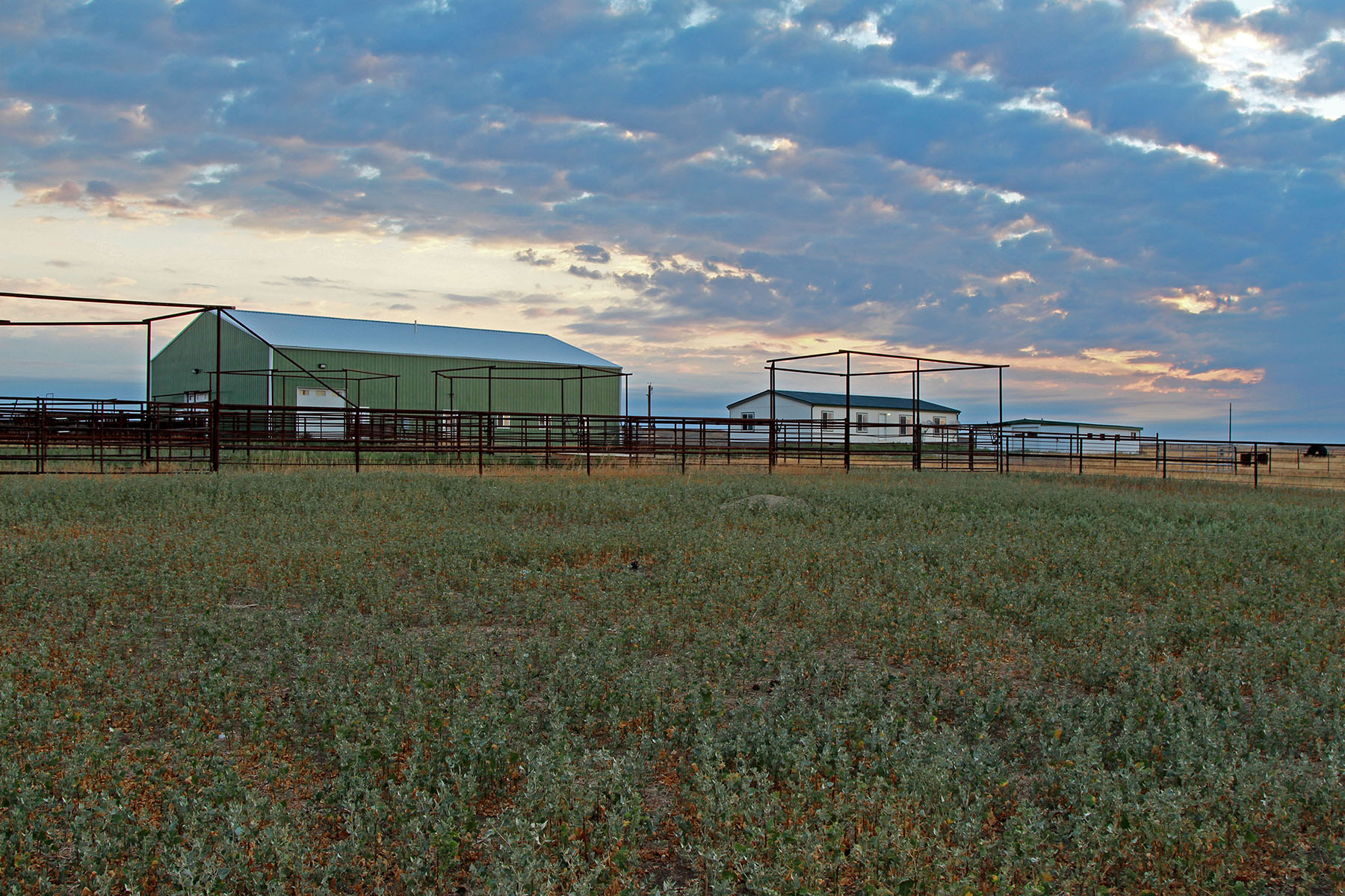 Rapelje Bison Ranch Sold Montana Hall and Hall