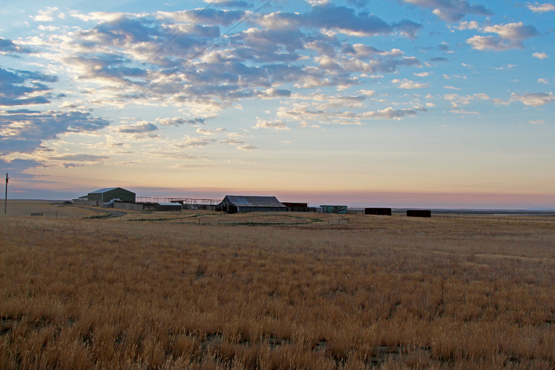Rapelje Bison Ranch property picture 13 of 24