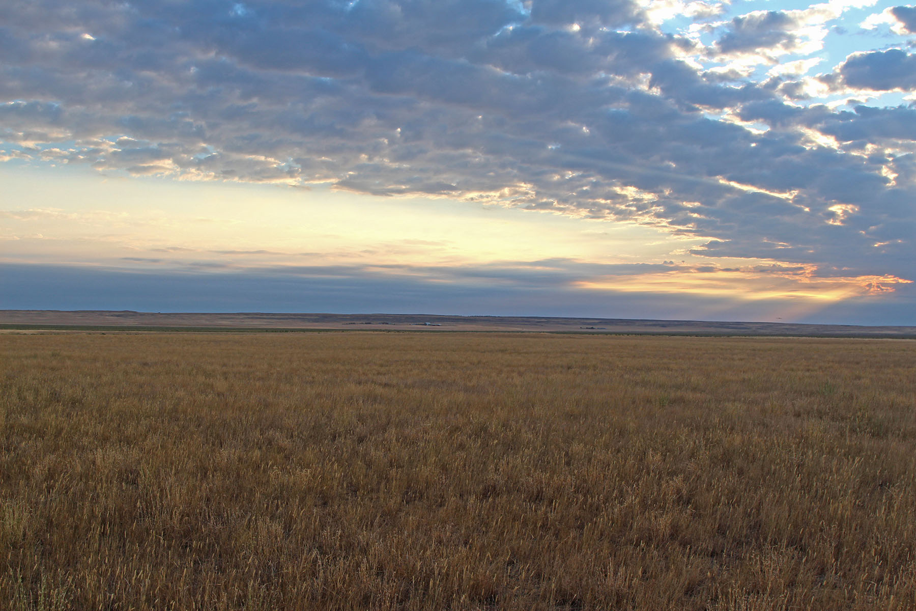 Rapelje Bison Ranch property picture 20 of 24