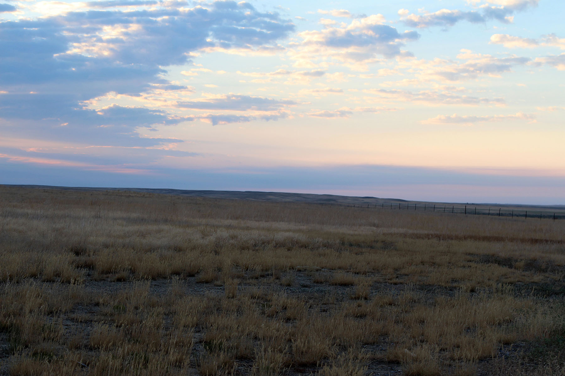 Rapelje Bison Ranch property picture 18 of 24