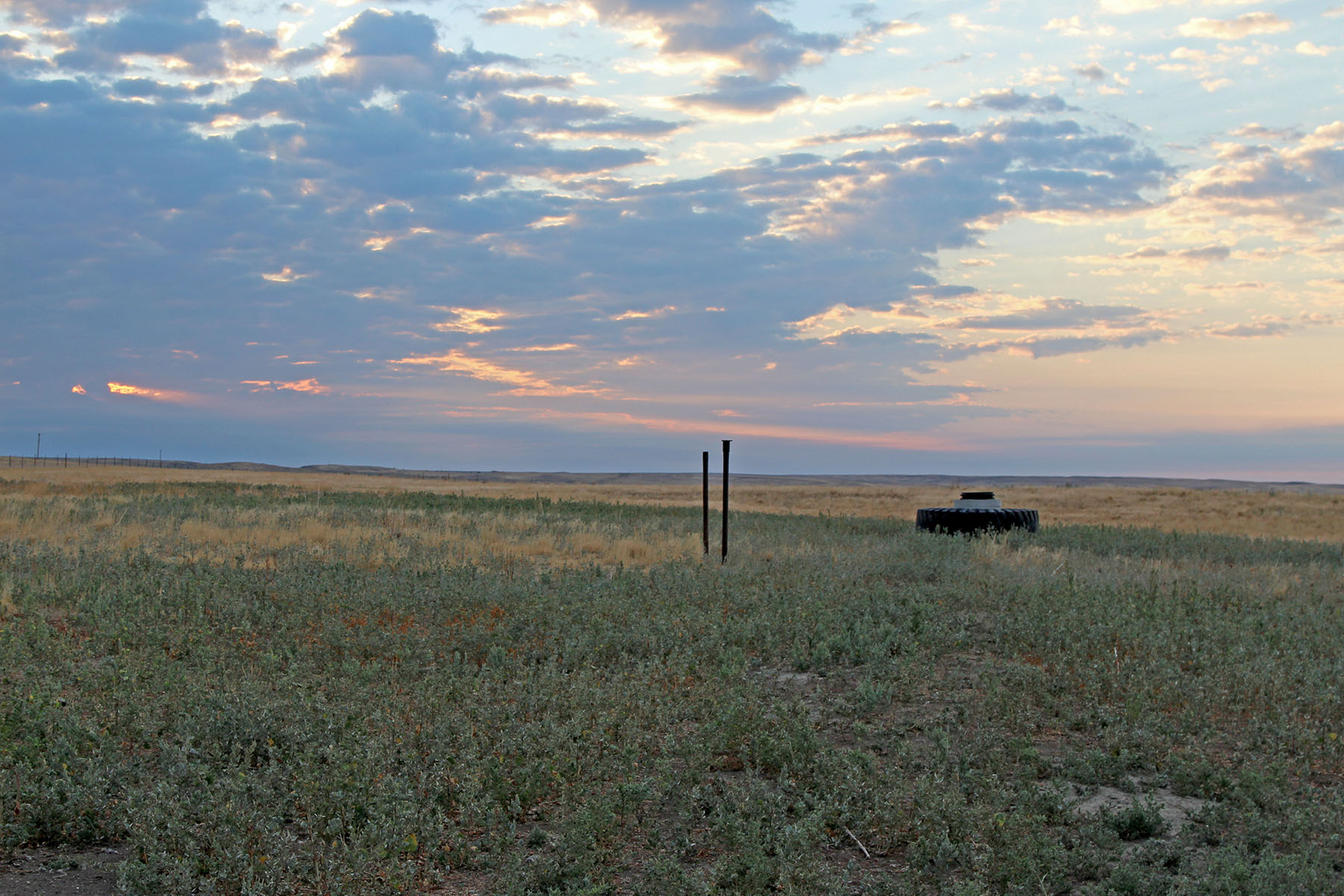 Rapelje Bison Ranch property picture 15 of 24