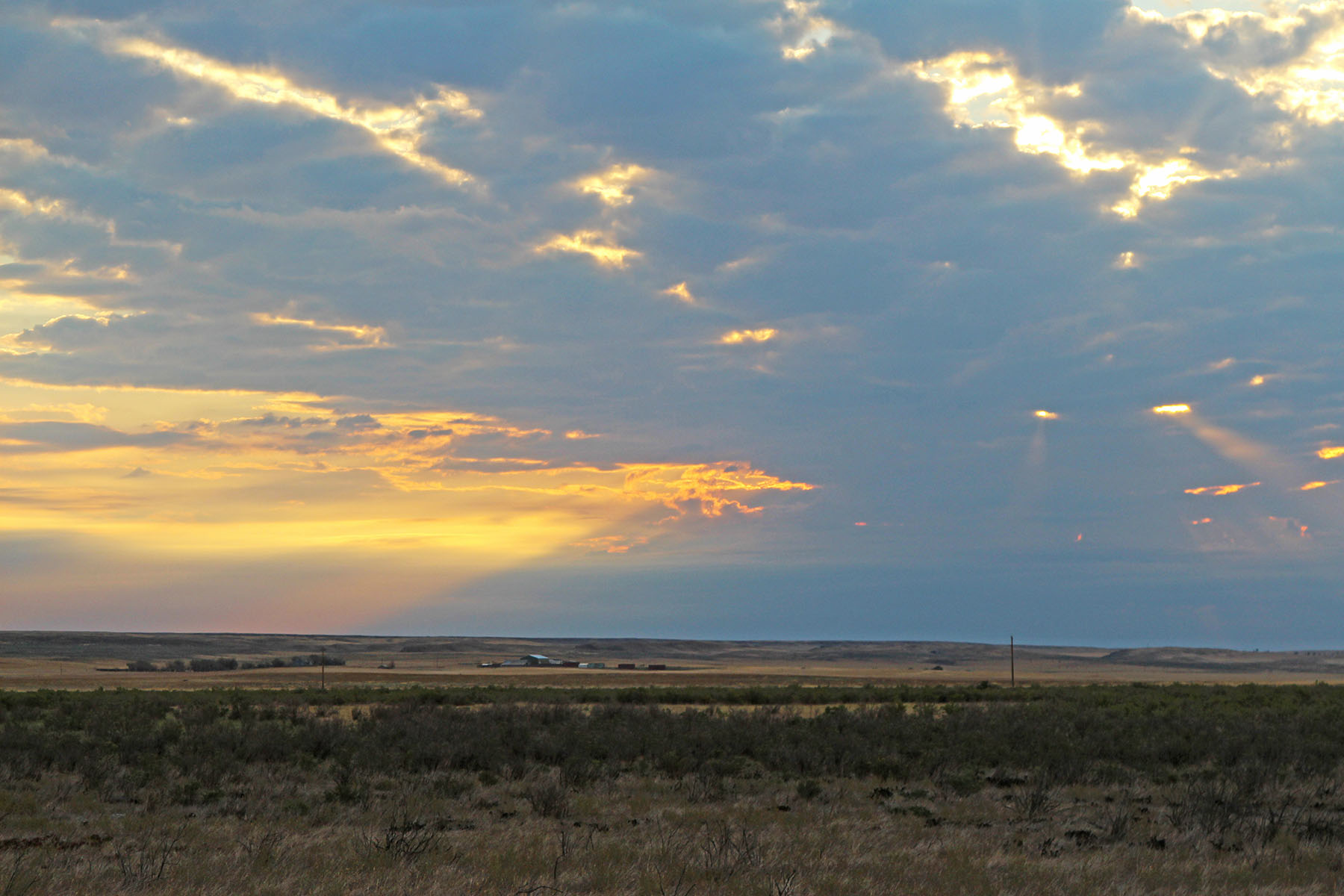Rapelje Bison Ranch property picture 11 of 24