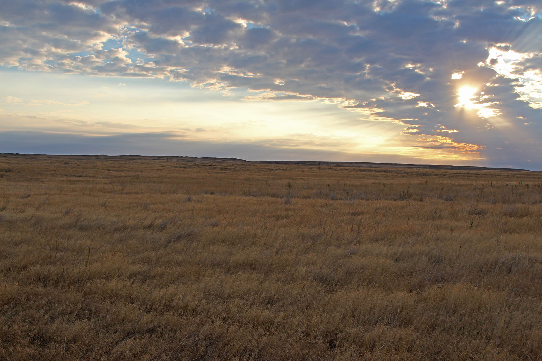 Rapelje Bison Ranch property picture 21 of 24