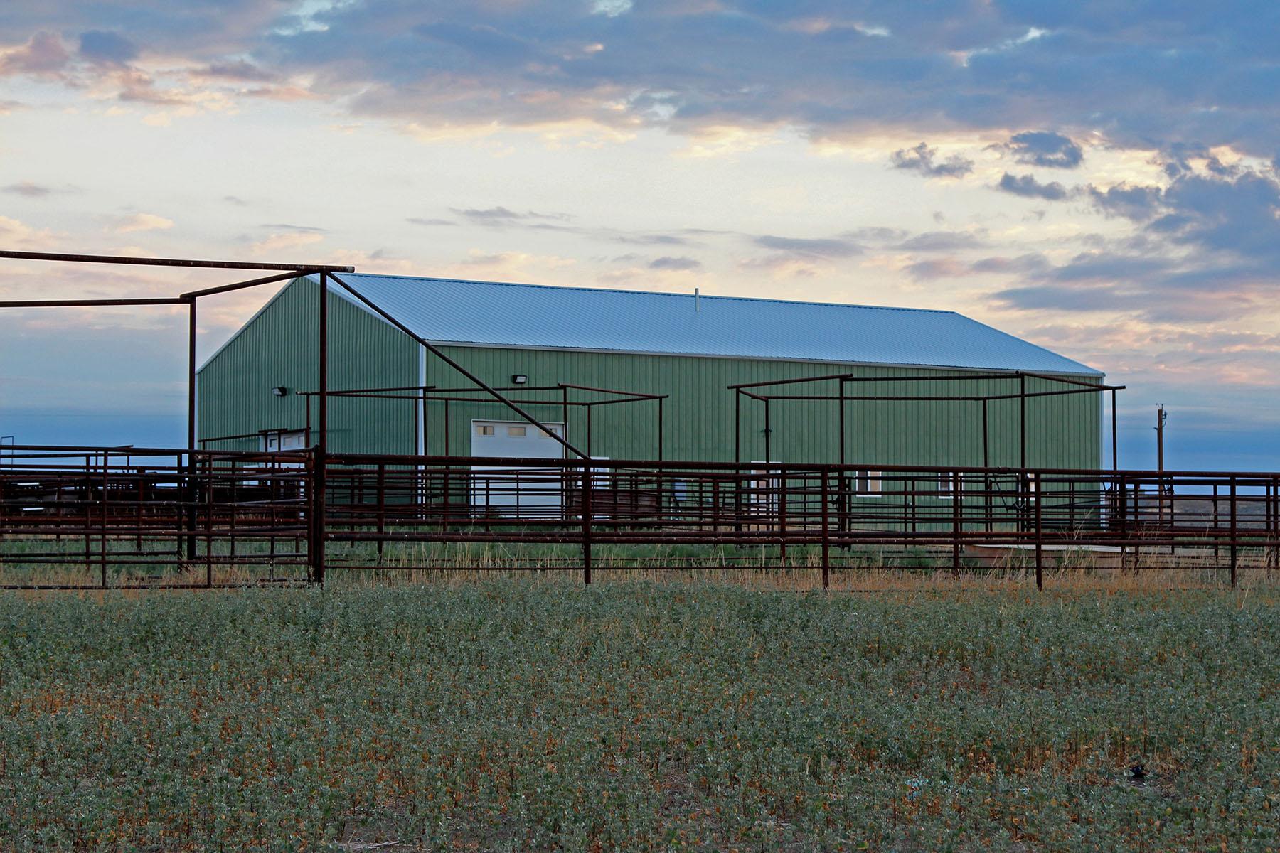 Rapelje Bison Ranch property picture 16 of 24