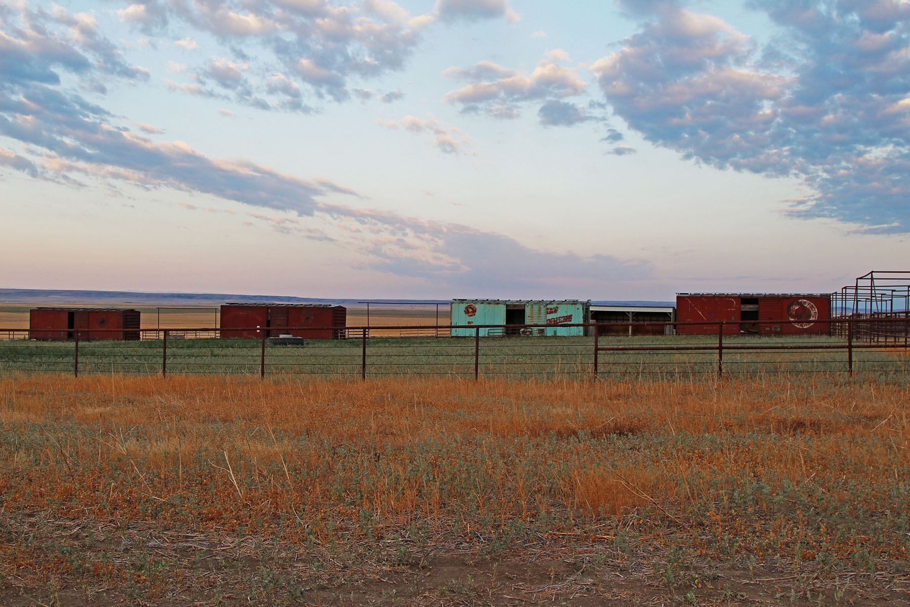 Rapelje Bison Ranch property picture 6 of 24