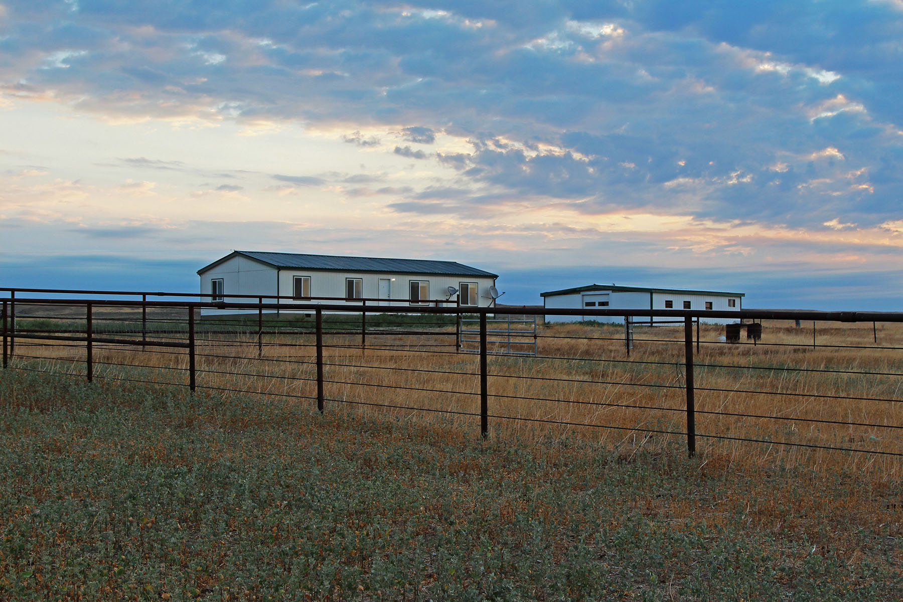 Rapelje Bison Ranch property picture 4 of 24