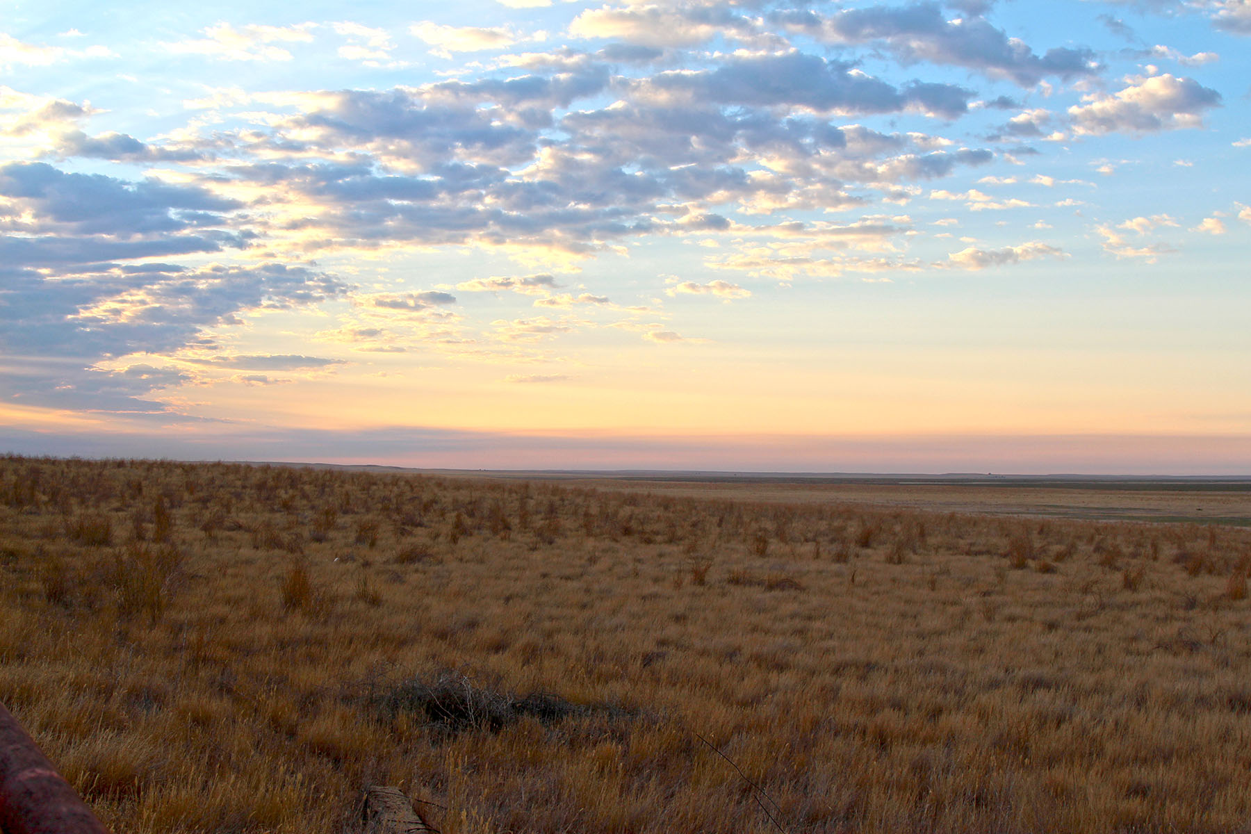 Rapelje Bison Ranch property picture 19 of 24