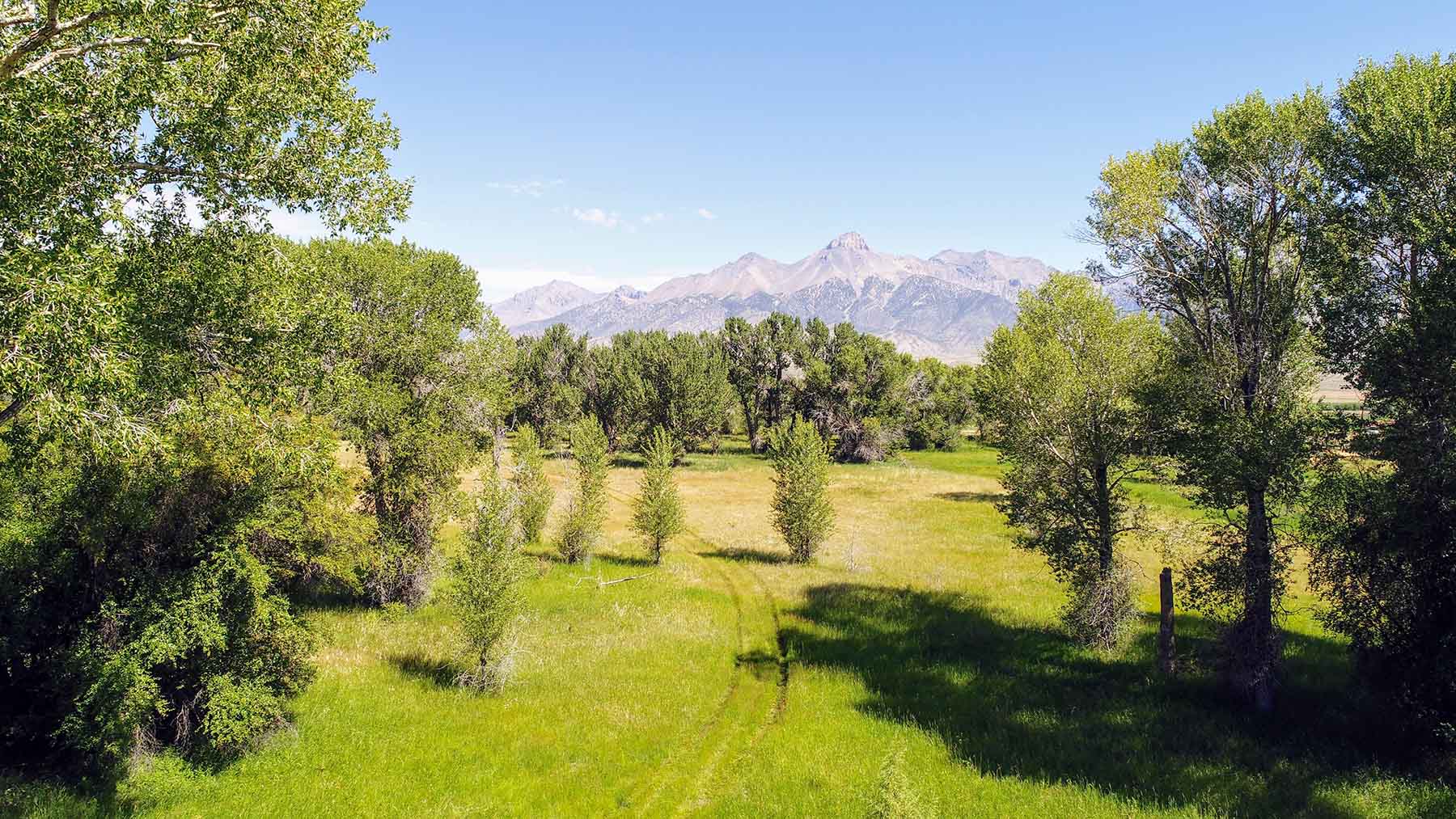 Big Lost River Sanctuary property picture 13 of 60