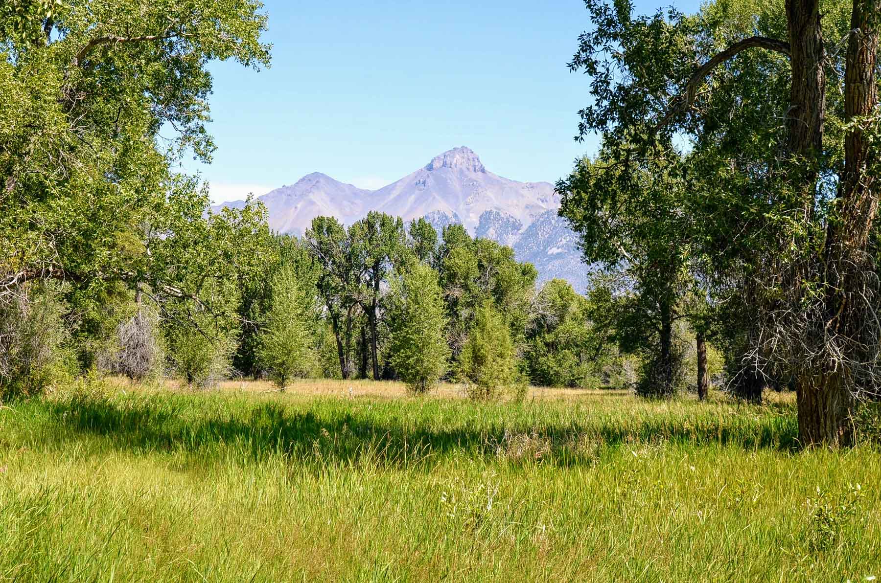 Big Lost River Sanctuary property picture 35 of 60