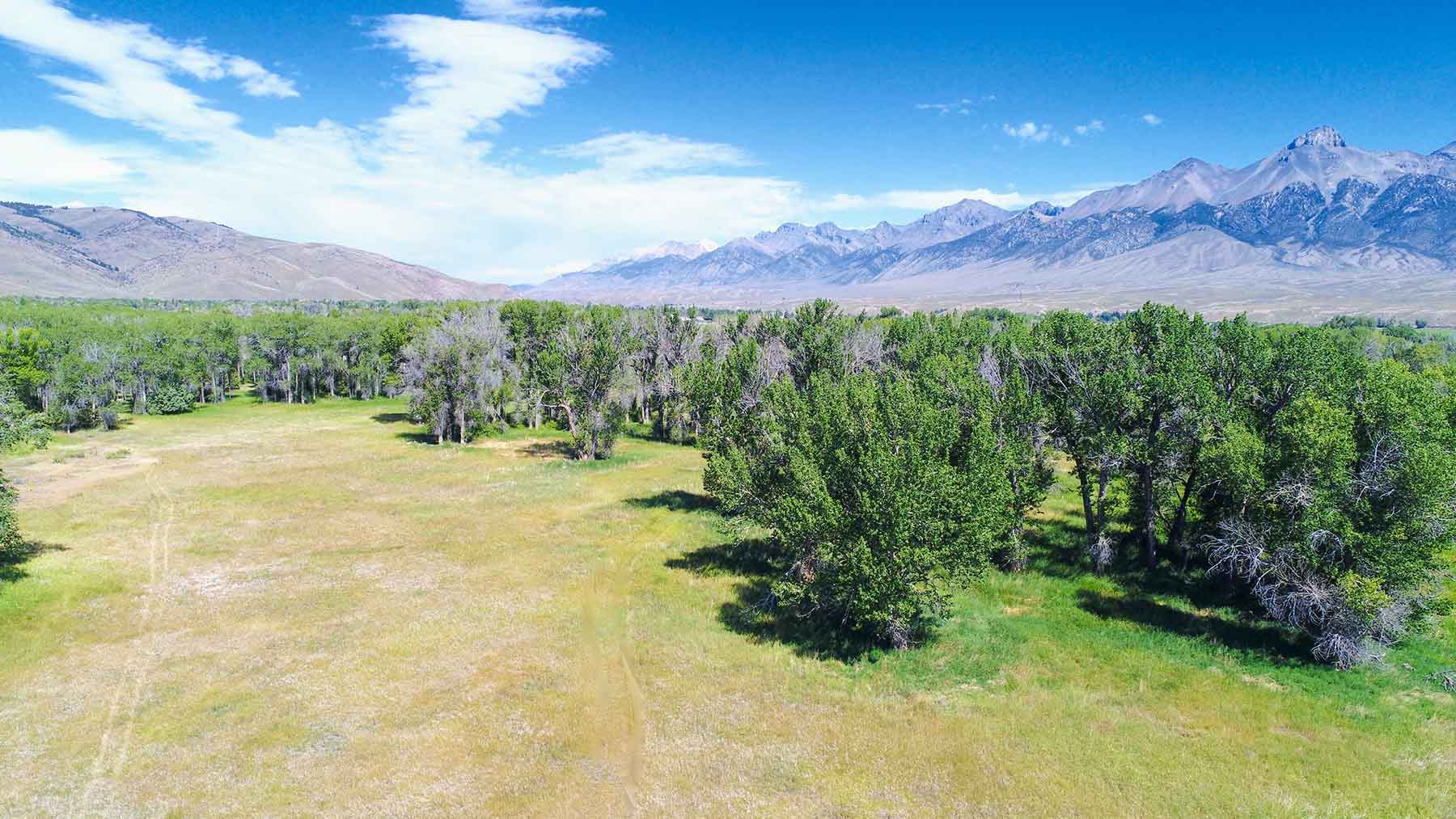 Big Lost River Sanctuary property picture 12 of 60