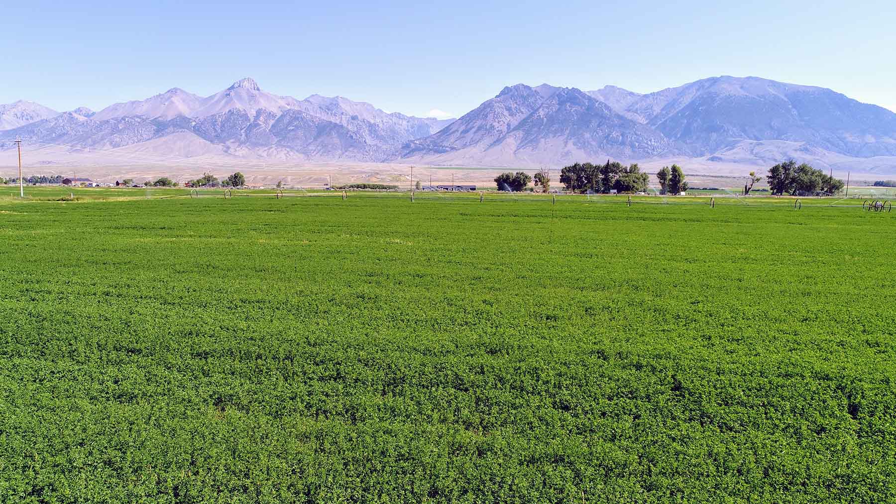 Big Lost River Sanctuary property picture 28 of 60