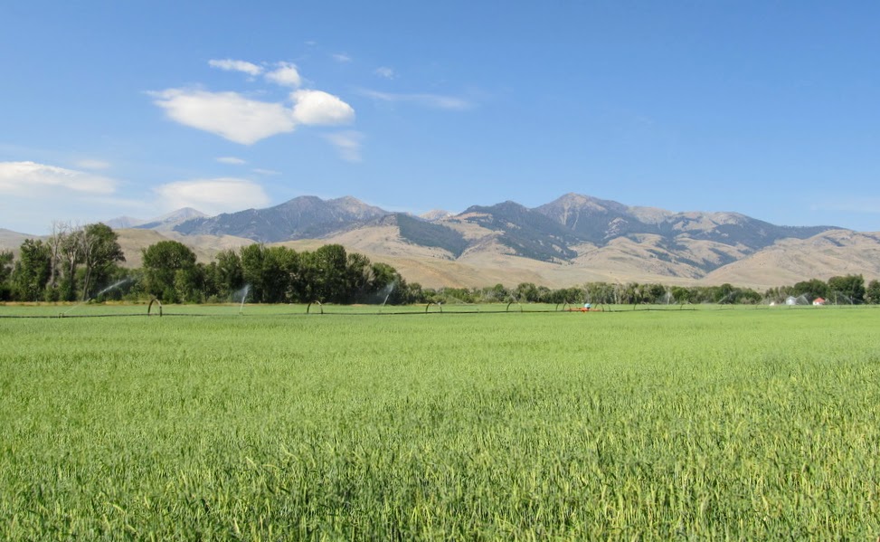 Big Lost River Sanctuary Sold Idaho Hall and Hall