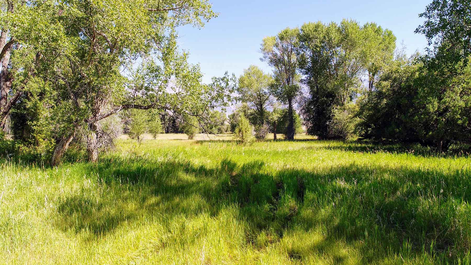 Big Lost River Sanctuary Sold Idaho Hall and Hall