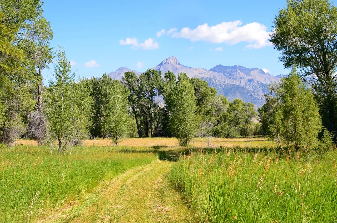 Big Lost River Sanctuary property picture 55 of 60