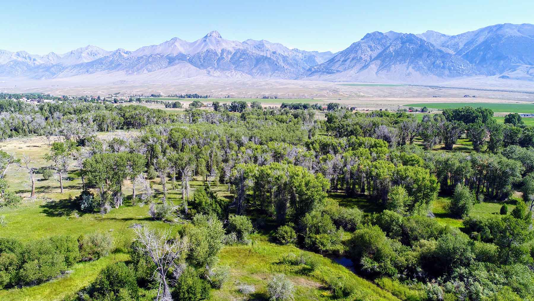 Big Lost River Sanctuary property picture 36 of 60