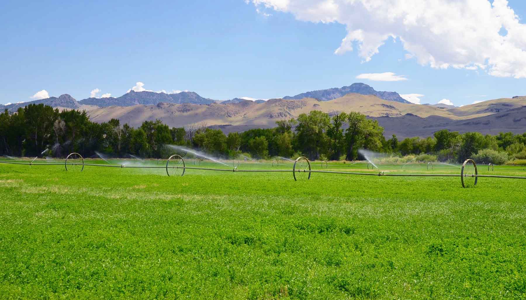 Big Lost River Sanctuary property picture 33 of 60